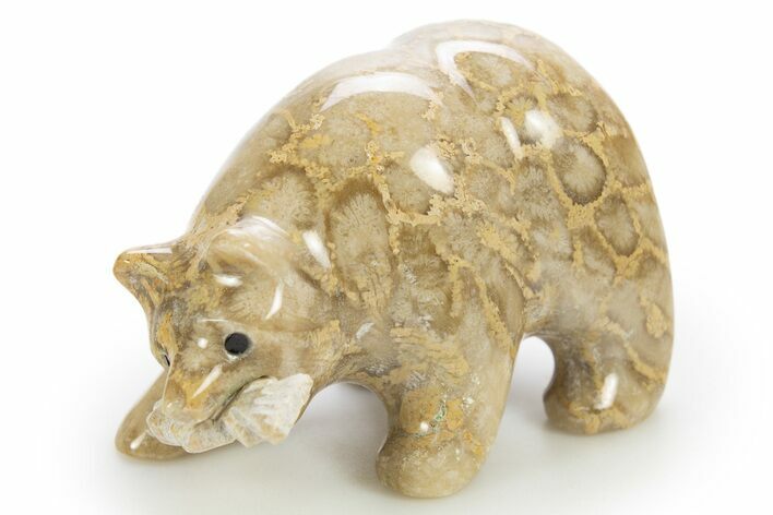Realistic, Polished Fossil Coral Bear with Fish - Philippines #308436